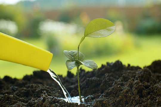 Services Cocoon en tant qu'entreprise de services de maintenance, nous proposons une gamme de services pratiques pour aider les clients à effectuer diverses tâches et réparations dans la maison.